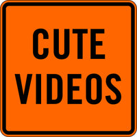 CUTE VIDEOS