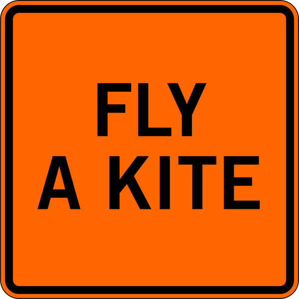 FLY A KITE