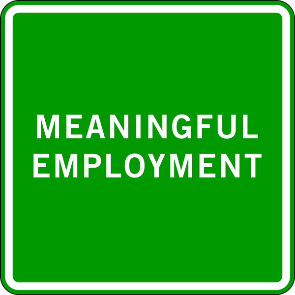 MEANINGFUL EMPLOYMENT