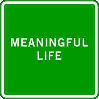 MEANINGFUL LIFE