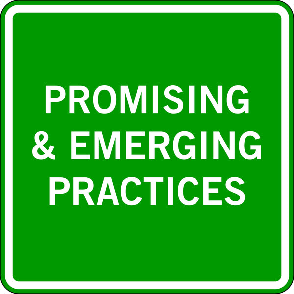 PROMISING & EMERGING PRACTICES