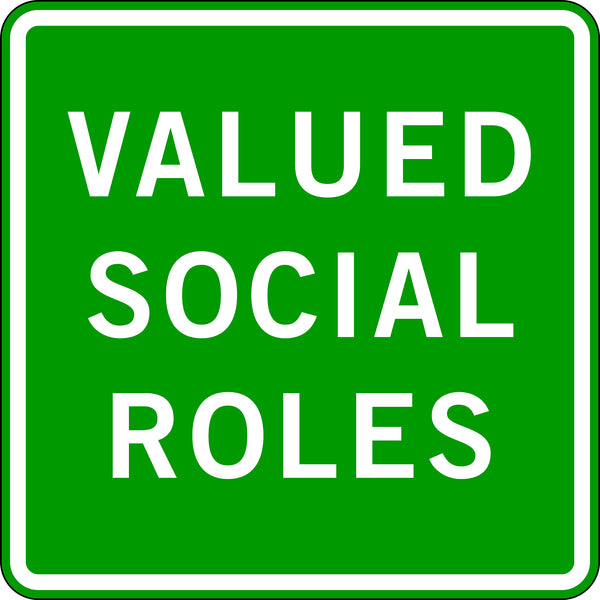 VALUED SOCIAL ROLES